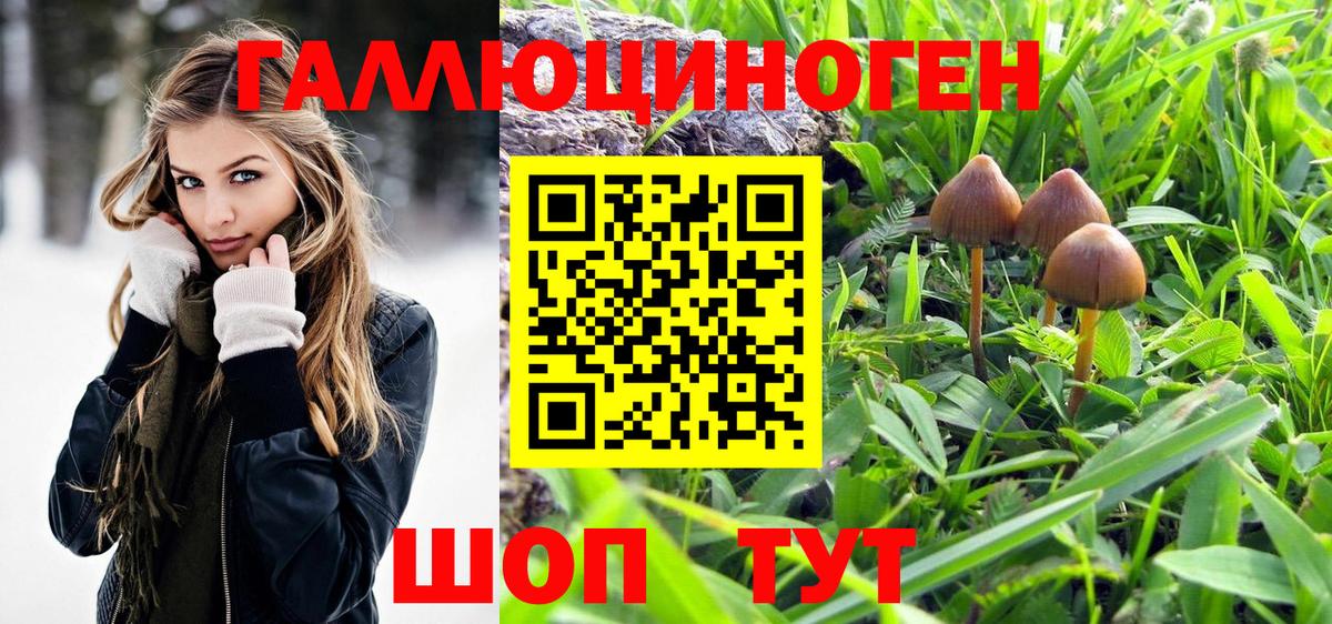Псилоцибиновые грибы мицелий Миасс